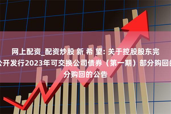 网上配资_配资炒股 新 希 望: 关于控股股东完成非公开发行2023年可交换公司债券（第一期）部分购回的公告