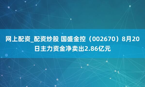 网上配资_配资炒股 国盛金控（002670）8月20日主力资金净卖出2.86亿元