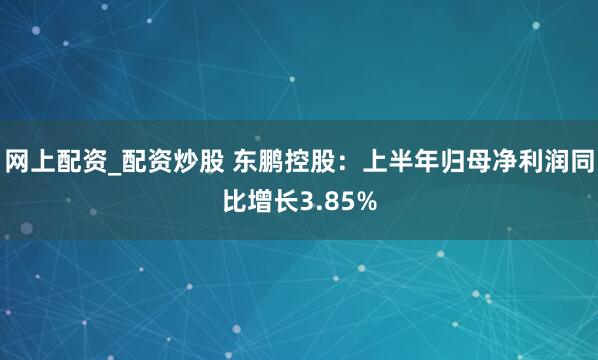 网上配资_配资炒股 东鹏控股：上半年归母净利润同比增长3.85%